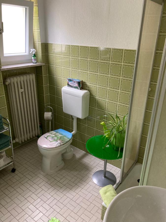 Ferienwohnung Im Gruenen Гьосвайнщайн Екстериор снимка